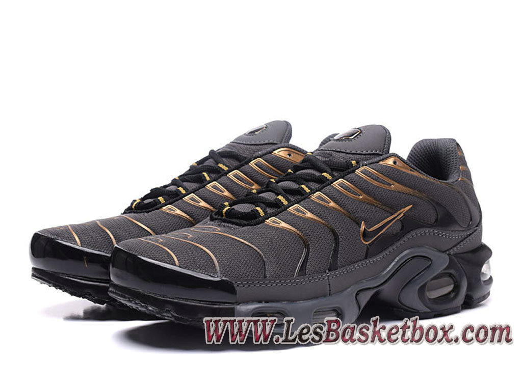 basket nike femme requin