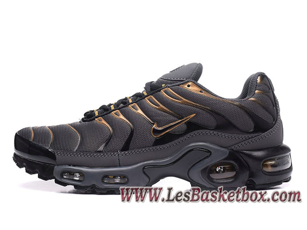 Nike Air Max Plus (Nike Tn 2017) Gris Or Chaussures Tn Requin Pour ... Nike Air Max Plus (Nike Tn 2017) Gris Or Chaussures Tn Requin Pour homme ...
