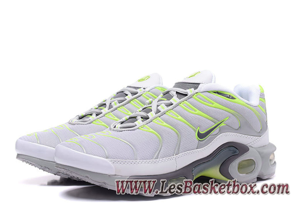 nike tn requin grise