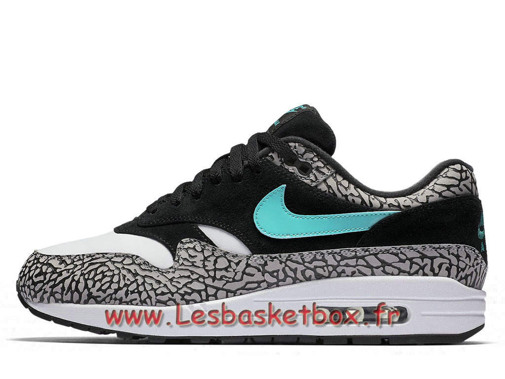 nike air max 1 atmos elephant pas cher